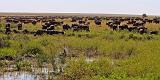 TANZANIA - Serengeti National Park - 015